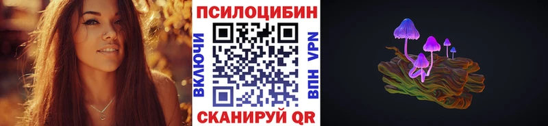 дарнет шоп  Новокубанск  Псилоцибиновые грибы Psilocybine cubensis 