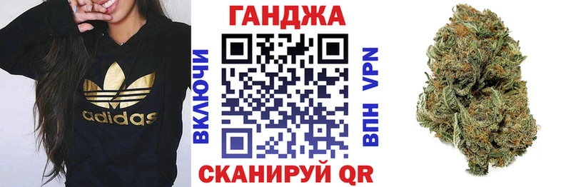 Каннабис гибрид  Новокубанск 